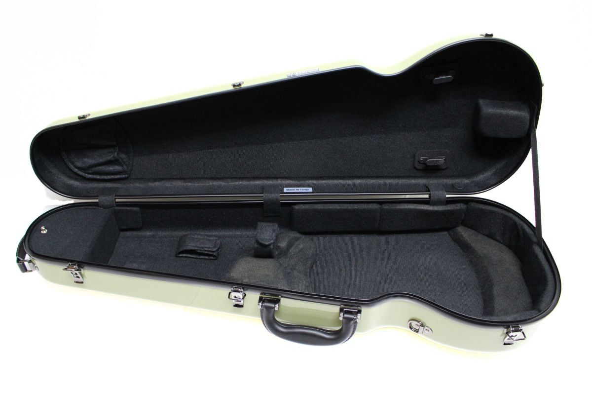 Eastmanビオラスタンダード≪セージグリーン≫ | 【クロサワ楽器店