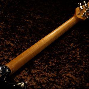 VALENTINE -Trans Black- | 【クロサワ楽器店オンラインショップ】いい