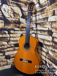 ギター  元値８万円 Amazon.co.jp: VOX ミニギター MARK V mini BK ブラック