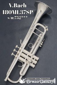 V.Bach ＜11/1～11/30 サイコロチャレンジ開催中!!＞ 180ML37SP【s/n:752***】 【中古】【トランペット】【バック】【2015年製】【イエローブラスベル】【金管楽器専門店】【BrassGalley / ブラスギャラリー】【ウインドお茶の水】