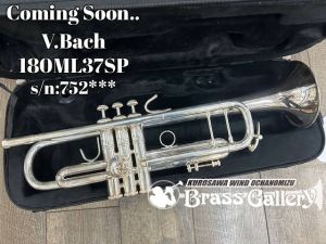 トランペット、中古の管楽器検索結果一覧 | 【クロサワ楽器店
