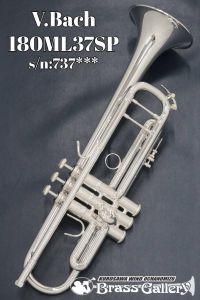 トランペット、30万円～50万円未満の管楽器検索結果一覧