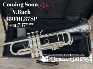 V.Bach 【Coming Soon...】 180ML37SP【s/n:737***】 【状態良好 中古】【トランペット】【バック】【2012年~2015年製】【イエローブラスベル】【金管楽器専門店】【BrassGalley / ブラスギャラリー】【ウインドお茶の水】
