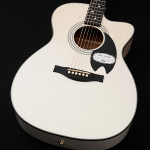 Headway、10万円～20万円未満のアコースティックギター検索結果
