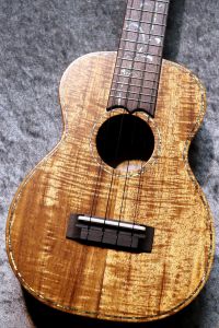 Seilen 【セイレン】 SLC-285 【コンサート】【現物写真】【池袋店在庫品】