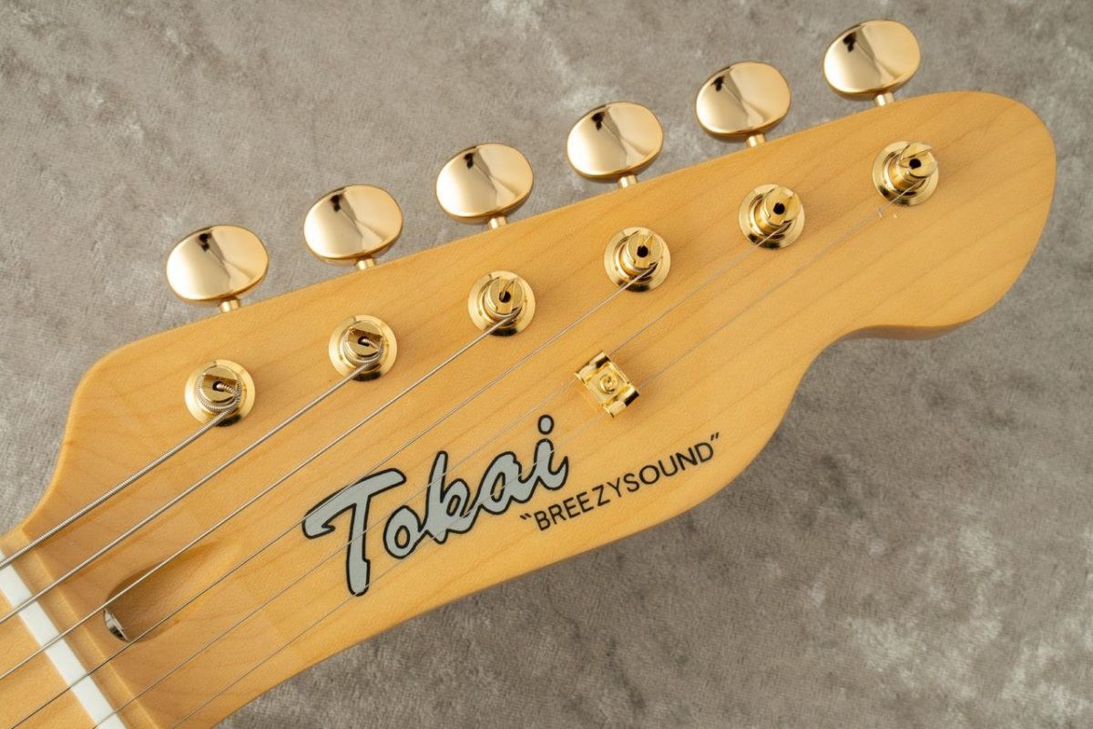 ATE-102G -See-Through Pink / STPK- | 【クロサワ楽器店オンライン