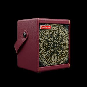 Positive Grid 【プロモーション特価!!】 Spark MINI Vai 【未展示品】【Steve Vai Model】【ヴァイ大先生好きは必見】