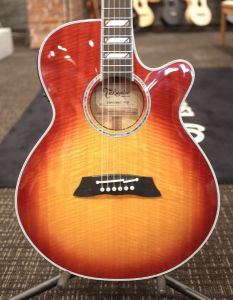 takamine アコースティックギター 12/26追加あり！】Takamineからイシバシ楽器 カスタムオーダー品
