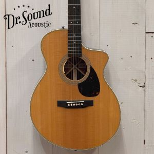 Martin、ハードケースのアコースティックギター検索結果一覧
