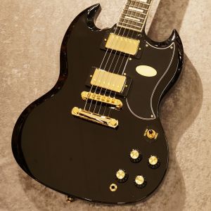 Epiphone、セットネックのエレキギター検索結果一覧