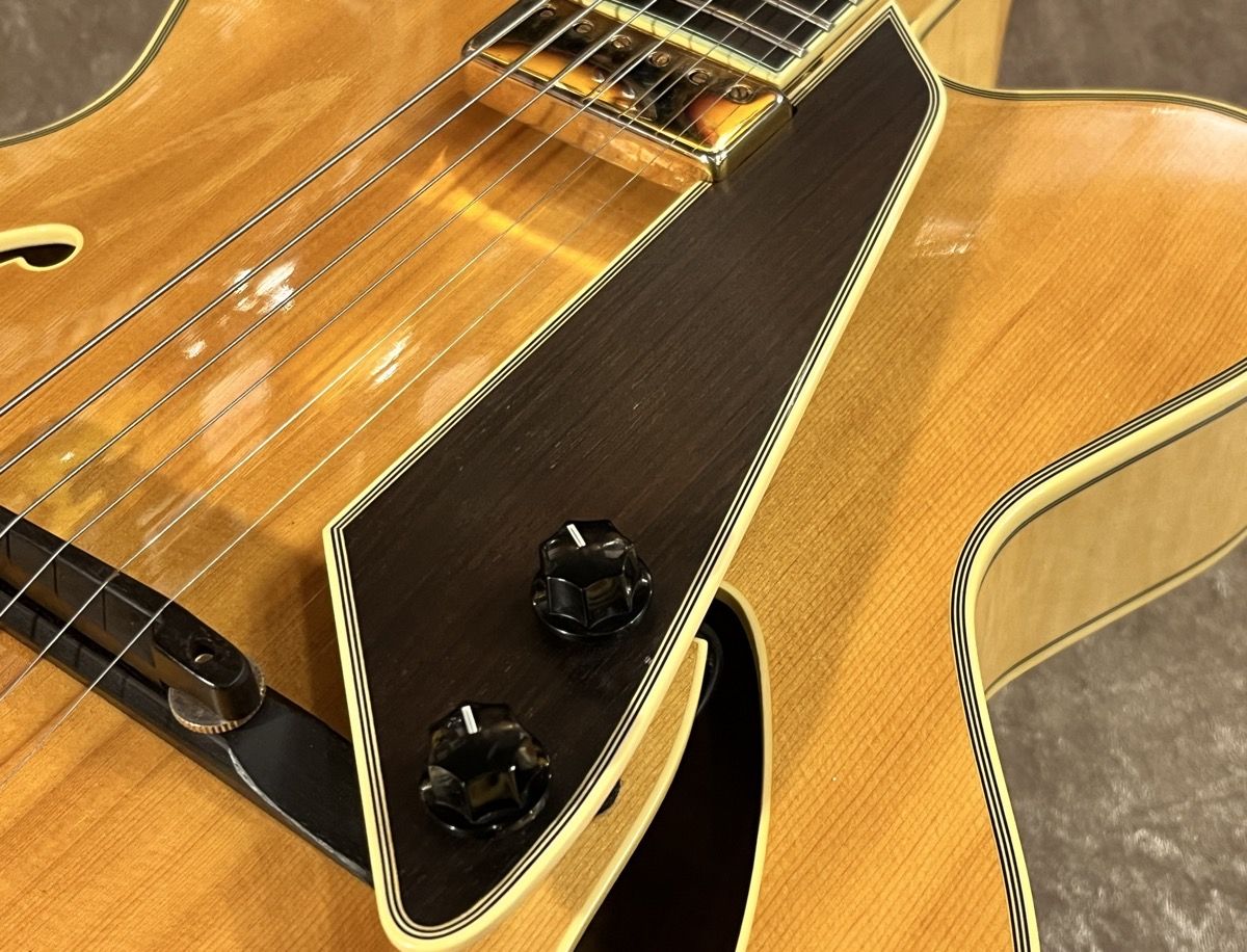 弦楽器 engo Engl Powerball II Guitar Amplifier Head (100 Watts) | zZounds