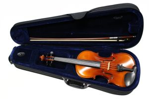 Paesold社製バイオリン 本体 ケース付き Roderich Paesold #805 Violin Outfit / ペゾルト バイオリン
