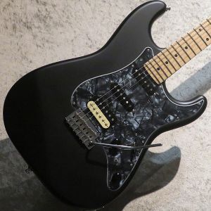 Black Smoker、22フレットのエレキギター検索結果一覧