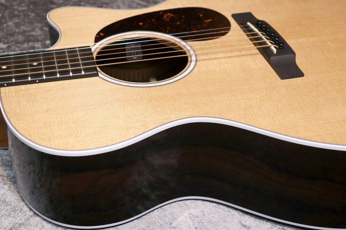 GPC-13E Ziricote #2975670 | 【クロサワ楽器店オンラインショップ