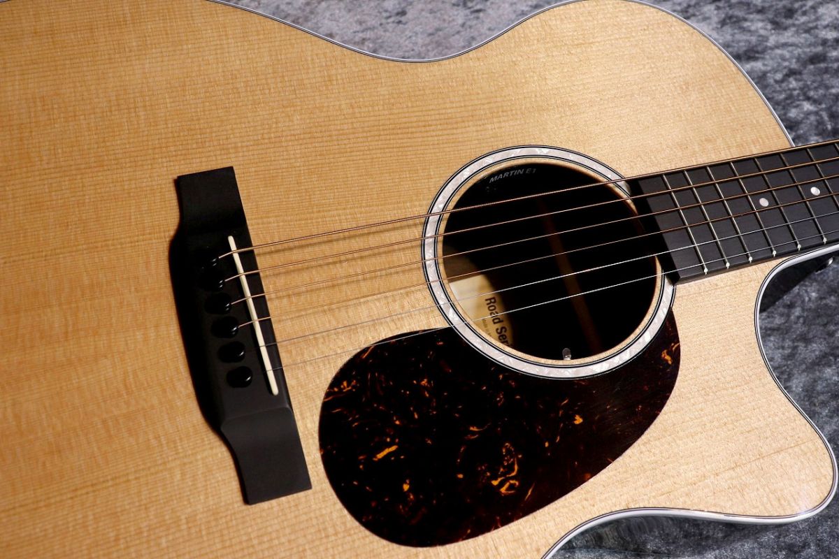 GPC-13E Ziricote #2975670 | 【クロサワ楽器店オンラインショップ