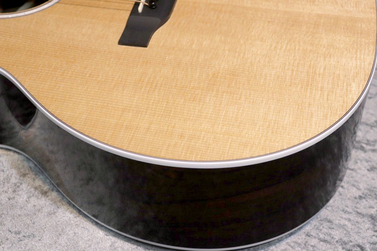 GPC-13E Ziricote #2975670 | 【クロサワ楽器店オンラインショップ