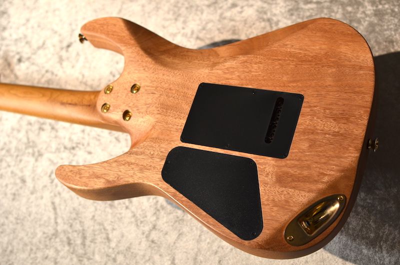 Pro-Mod DK22 SSS 2PT CM Mahogany with Walnut Caramelized Maple FB