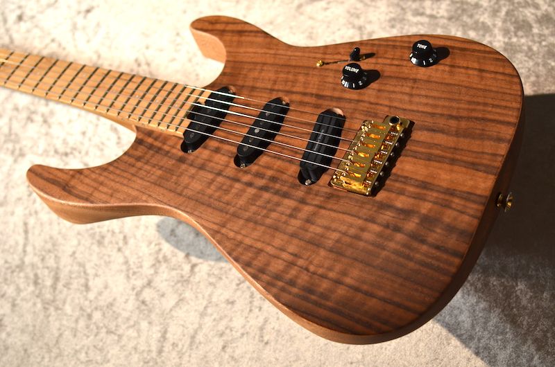 Pro-Mod DK22 SSS 2PT CM Mahogany with Walnut Caramelized Maple FB