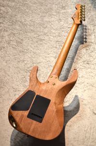 Pro-Mod DK22 SSS 2PT CM Mahogany with Walnut Caramelized Maple FB