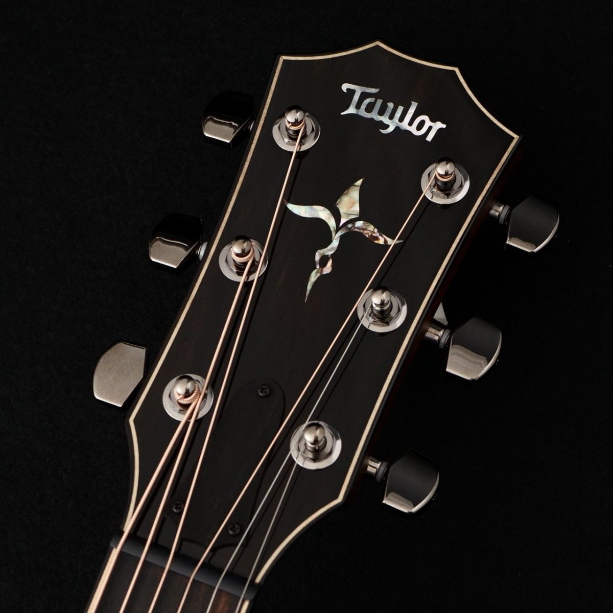 814ce Special Edition Sapphire | 【クロサワ楽器店オンライン