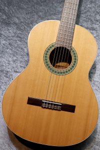 Paco Castillo / パコ・カスティージョ 【小物6点サービス!】 201 杉 / サペリ #26525 【現物写真】【スペインブランド】【池袋店在庫品】