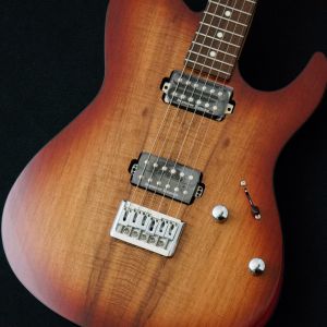 FUJIGEN(FGN)、2Sのエレキギター検索結果一覧 | 【クロサワ楽器