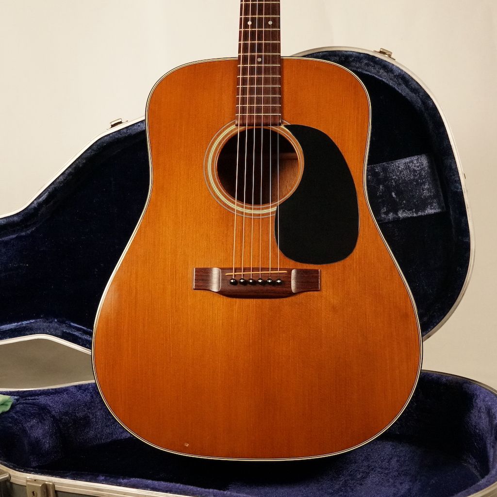 ヴィンテージ　MARTIN マーティン D-19 1977年製 ケース付！ D-19 1977年製 #392383 | 【クロサワ楽器店オンラインショップ