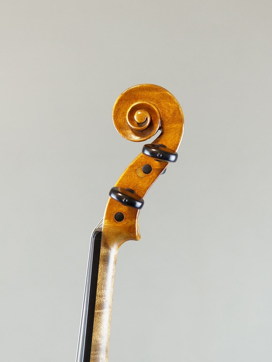 【早い者勝ち】5弦バイオリン Glasser 赤　美品 楽天市場】Gliga Ayasa Model w/ FISHMAN V-300