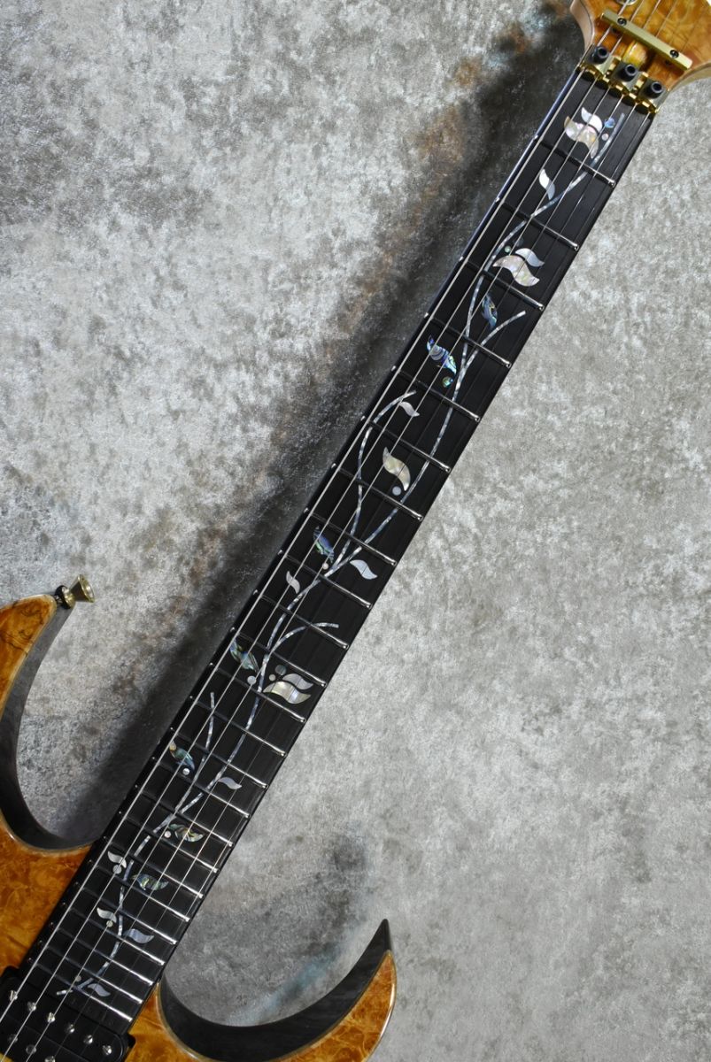 VISIONS IV1RG #F25313 | 【クロサワ楽器店オンラインショップ】いい