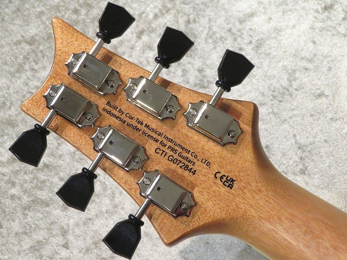 SE Zach Myers Semi-Hollow Body Myers Blue #G072844