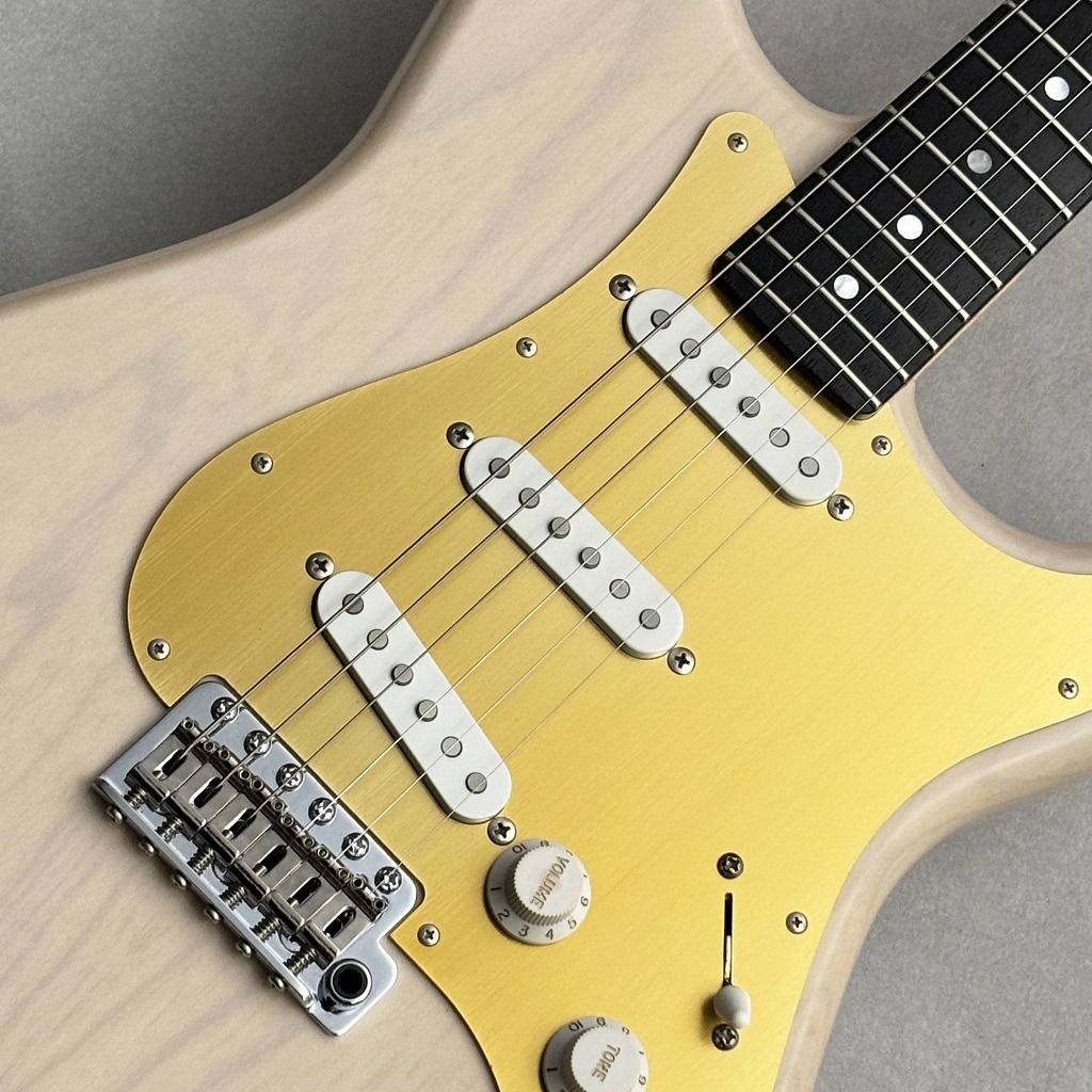 BLACK CLOUD GUITAR COSTOM MADE δ ケース付き BLACK CLOUD GUITAR COSTOM MADE δ ケース付き