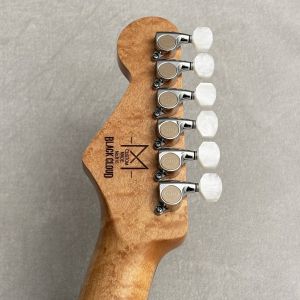 BLACK CLOUD GUITAR COSTOM MADE δ ケース付き Black Cloud Custom