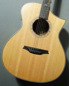 アコースティックギター スプルーストップ アコギのトップ材 シトカ・スプルース編｜無射