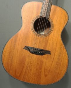 アリアプロ2 アコースティックギター Aria Pro II(アリアプロツー)、アコースティックギター/エレアコ