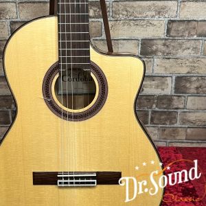 Cordoba GK Studio エレガット+ハードケース Cordoba GK Studio エレガット+ハードケース