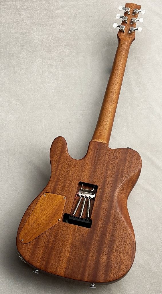 KT-Pro AJM Custom | 【クロサワ楽器店オンラインショップ】いい楽器と