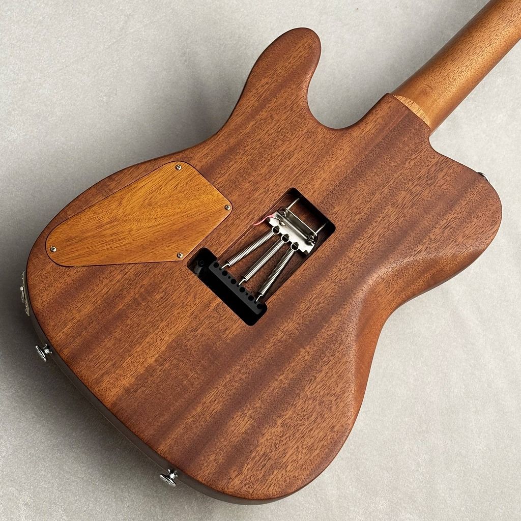 KT-Pro AJM Custom | 【クロサワ楽器店オンラインショップ】いい楽器と