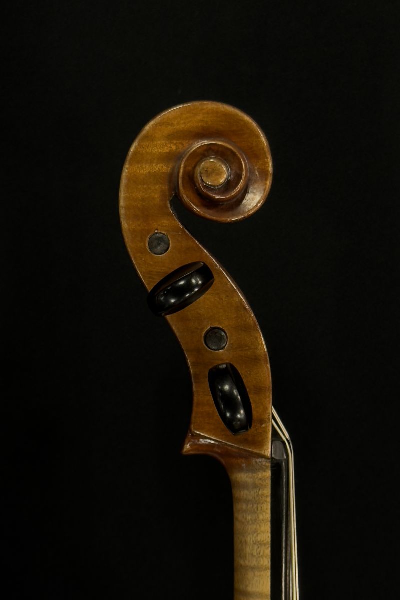 弦楽器 the Cooper collection Vol.1 弦楽器 the Cooper collection Vol.1 弦楽器 the Cooper collection