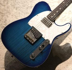 2022年製 FUJIGEN テレキャスター 青 楽天市場】FgN(FUJIGEN) Neo Classic NTE Series NTE100MAH-SBB