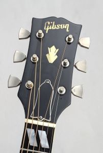 Dove | 【クロサワ楽器店オンラインショップ】いい楽器とのいい出会い