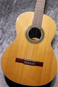 Paco Castillo / パコ・カスティージョ 【ソフトケースサービス】 201 7/8 杉 635mm #2318 【ショートスケール】【現物写真】【池袋店在庫品】