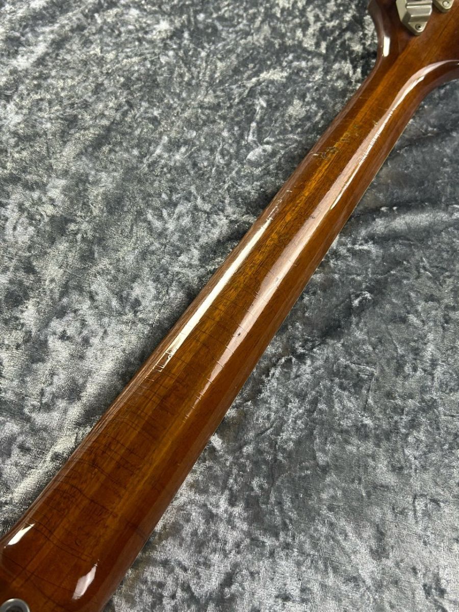 リフィニッシュ】1964 Firebird V Natural Refinish | 【クロサワ楽器