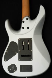 TOD10 Polyphia Tim Henson Signature #250515006 | 【クロサワ楽器店