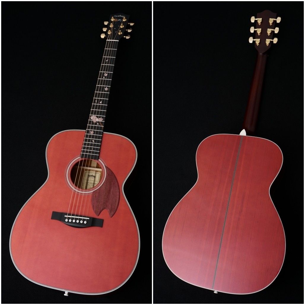 HF-SHIKIZAKURA'25/STD ARP | 【クロサワ楽器店オンラインショップ