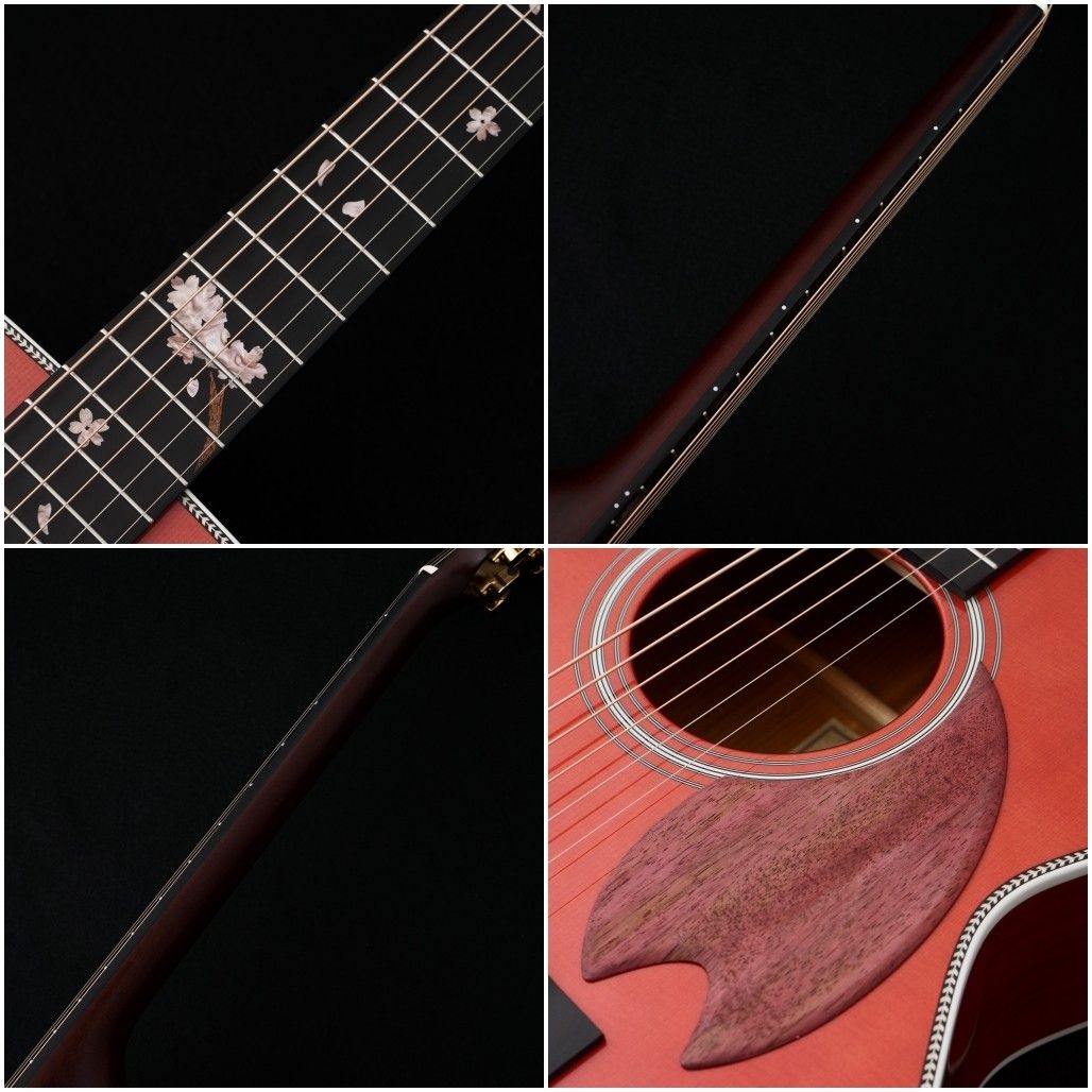 HF-SHIKIZAKURA'25/STD ARP | 【クロサワ楽器店オンラインショップ