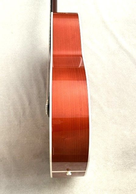 HF-SHIKIZAKURA' 25/STD ARP | 【クロサワ楽器店オンラインショップ