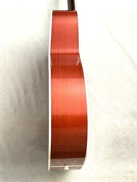 HF-SHIKIZAKURA' 25/STD ARP | 【クロサワ楽器店オンラインショップ