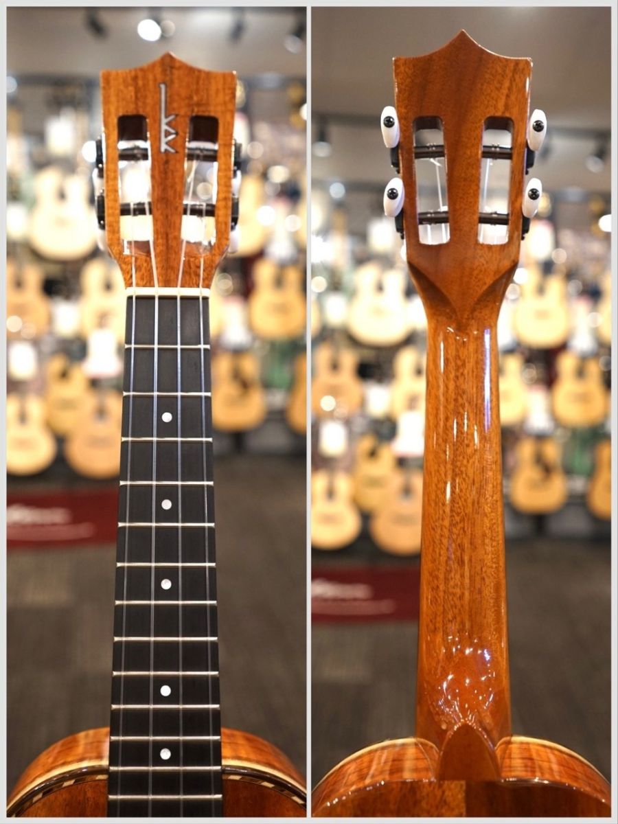 ノヴェラ　日本盤CD ２枚セット HF-3D2 #212160 | 【クロサワ楽器店オンラインショップ】いい