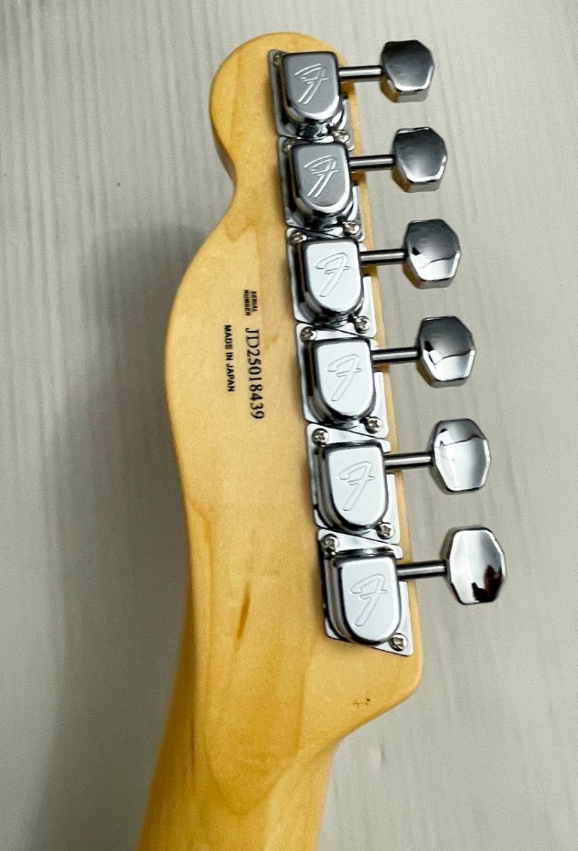 Fender Made in Japan Limited Telecaster -Pink Paisley- #JD25018439