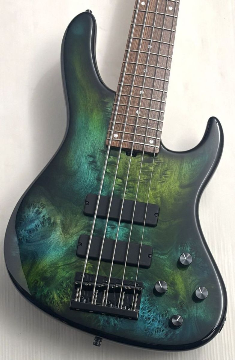 ML24 MS5 Special Edition -Nebula- | 【クロサワ楽器店